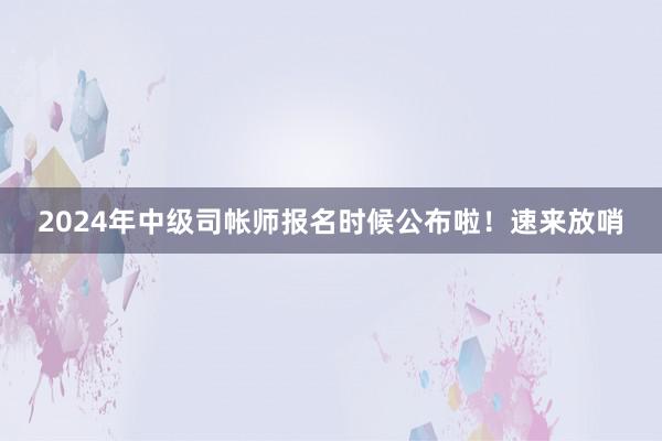 2024年中级司帐师报名时候公布啦！速来放哨