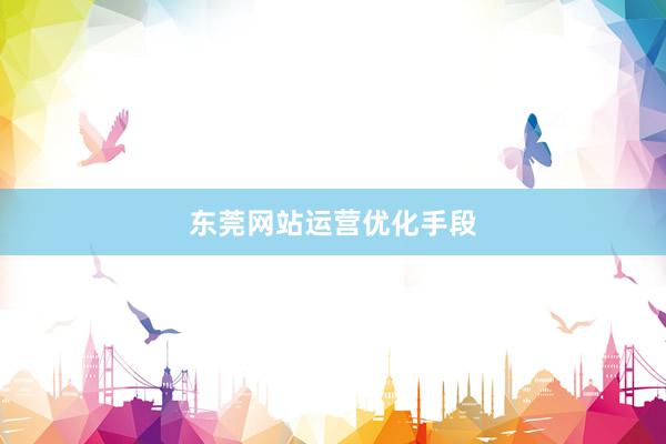 东莞网站运营优化手段