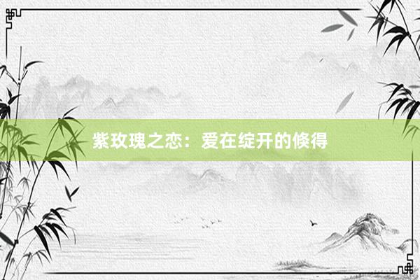 紫玫瑰之恋：爱在绽开的倏得