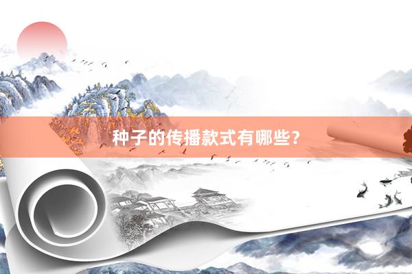 种子的传播款式有哪些？
