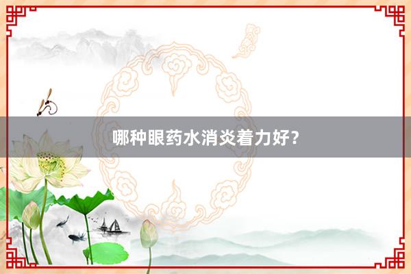 哪种眼药水消炎着力好？