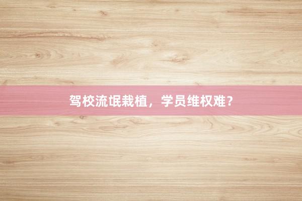 驾校流氓栽植，学员维权难？